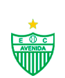 Avenida-RS