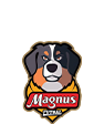 Magnus Futsal-SP