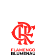 Flamengo/Blumenau Basquete-RJ