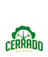 Cerrado Basquete-DF