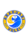 Vôlei Araguari-MG